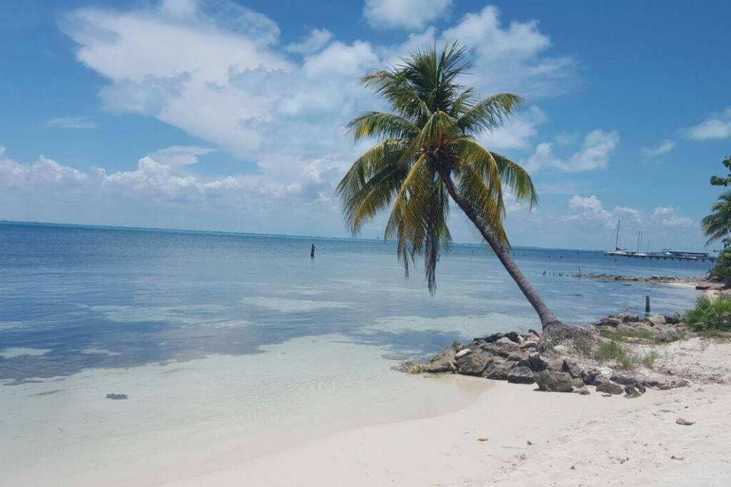 Marysol Private Beach Next To Nomads D5 Isla Mujeres Dış mekan fotoğraf